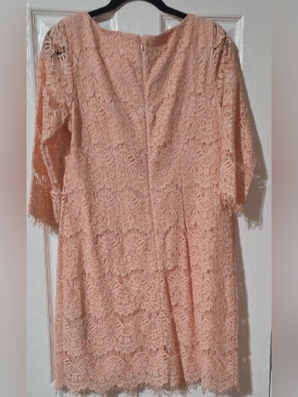 🍑🍑🍑Jessica Howard Elegant Bright Pastel Peach Boat Neck Lace Dress sz10 - Picture 4 of 16